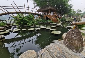 2 Days in Ninh Binh