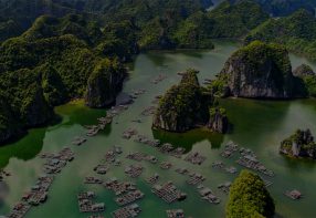 2 Days at Monkey Island Resort and Lan Ha Bay