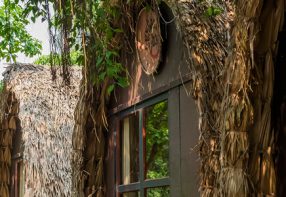 2 Days at Cat Ba Town and Cat Ba National Park