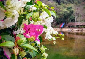 Hoi Lake Farmstay