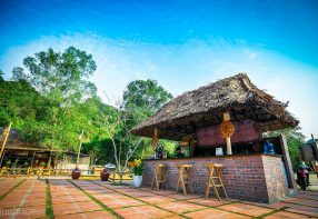 Hoi Lake Farmstay