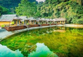 Hoi Lake Farmstay