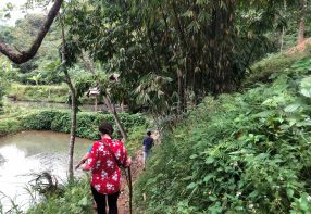 3 Days at Hieu, May, and Mu Waterfalls