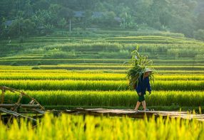 3 Days at Hieu, May, and Mu Waterfalls