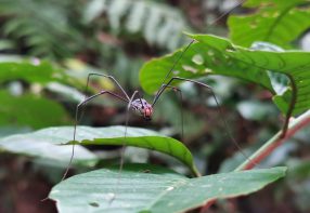 2 Days in Ninh Binh