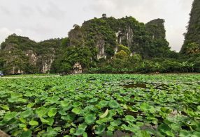2 Days in Ninh Binh