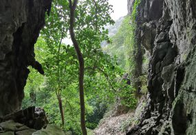 2 Days in Ninh Binh