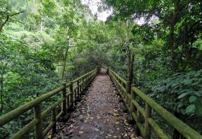 2 Days in Ninh Binh
