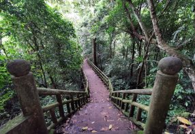 2 Days in Ninh Binh