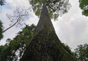 2 Days in Ninh Binh