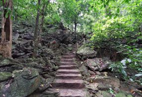 2 Days in Ninh Binh