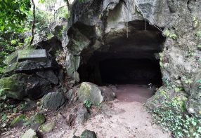 2 Days at Cuc Phuong National Park and May Waterfall